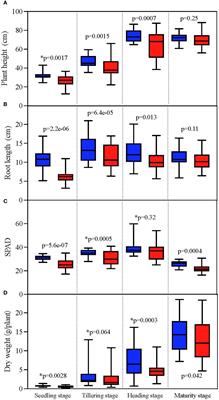 The decrease in panicle number is the main reason for the yield reduction of japonica rice caused by 1,2,4-trichlorobenzene stress